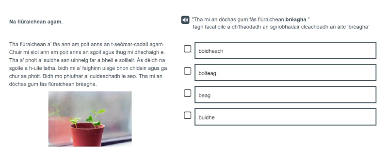A Gaelic example of a P4 Tools for reading item.
