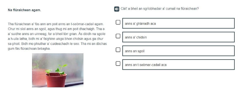 A Gaelic example of a P4 Finding and using information item.