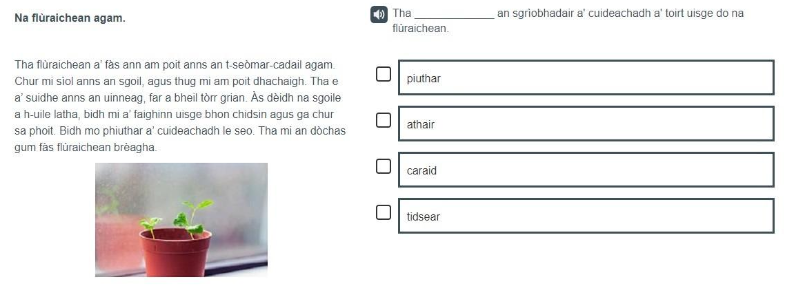 A Gaelic example of a P4 Understanding, analysing and evaluating item.