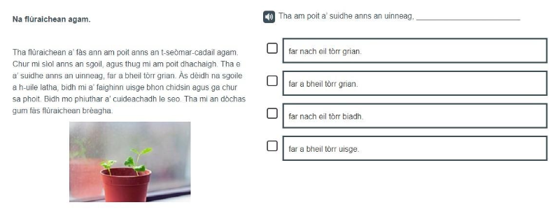 A Gaelic example of a P4 Understanding, analysing and evaluating item.