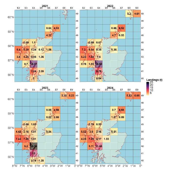 Maps of annual wrasse landings (tonnes) 2021-24 by ICES statistical rectangle showing highest landings on the West Coast.