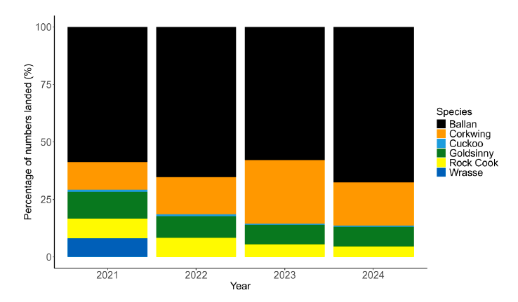Bar plot of percentage of wrasse species as reported 2021-24 with Ballan consistently highest.