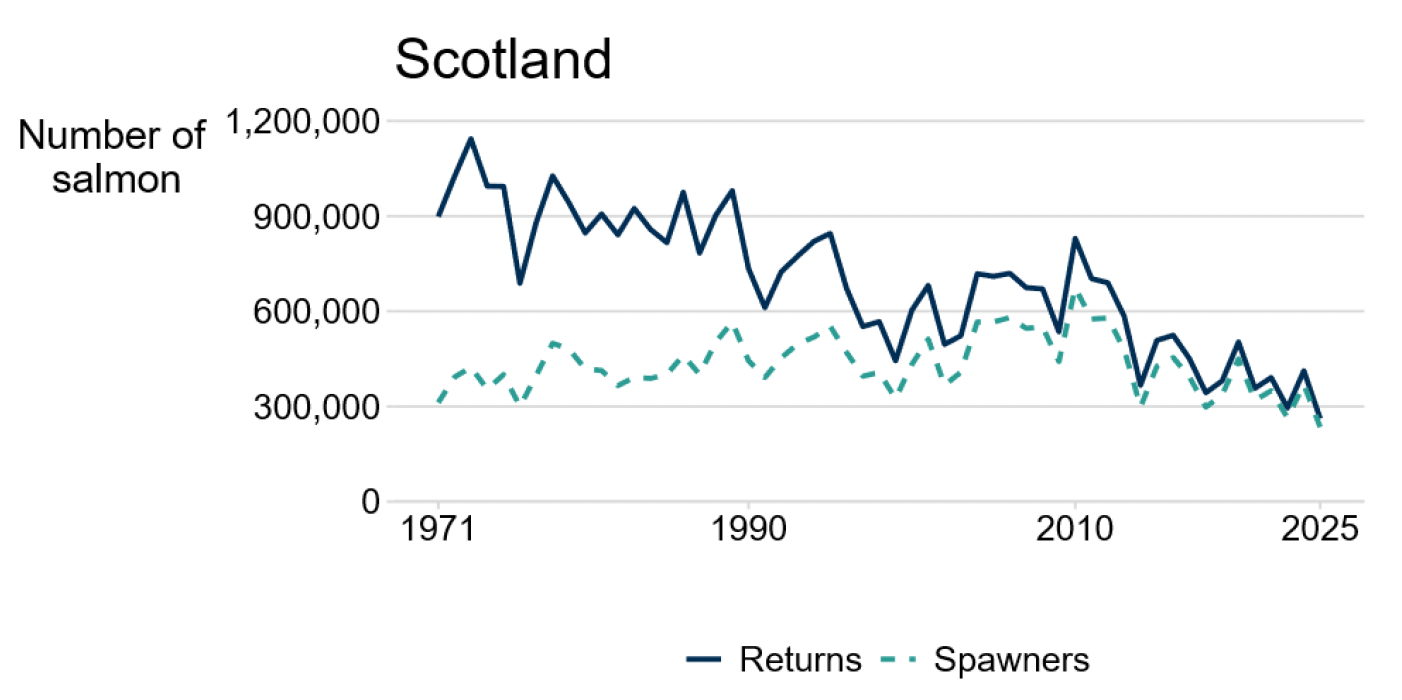 Line chart with two lines: one showing total rod catch of salmon increasing from 1952 until 2010 and decreasing since; the other showing released rod catch increasing from 1994 until 2010, and declining since. The total rod catch and released rod catch lines are converging.