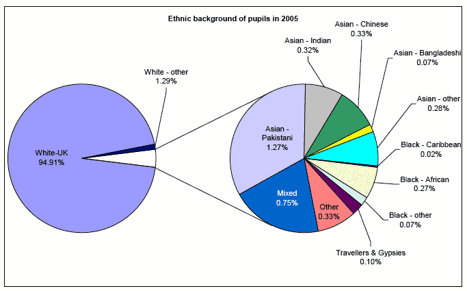 Ethnic background of pupils in 2005 image