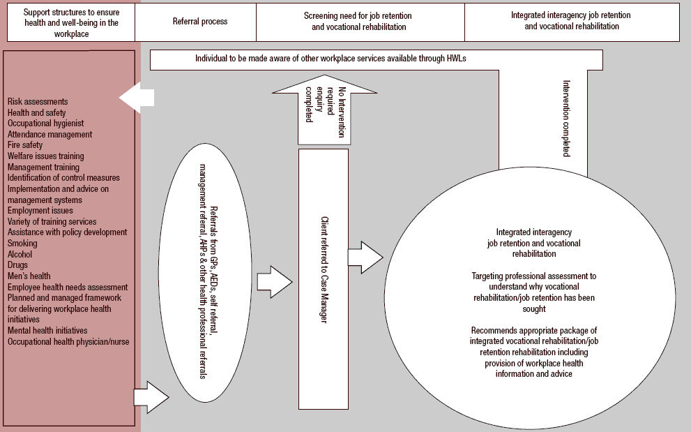 Figure 3.2 Future model for vocational rehabilitation