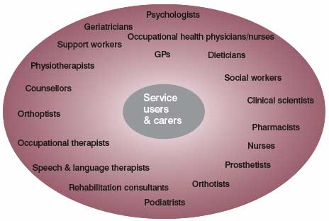 Figure 3.3 Personnel within rehabilitation teams