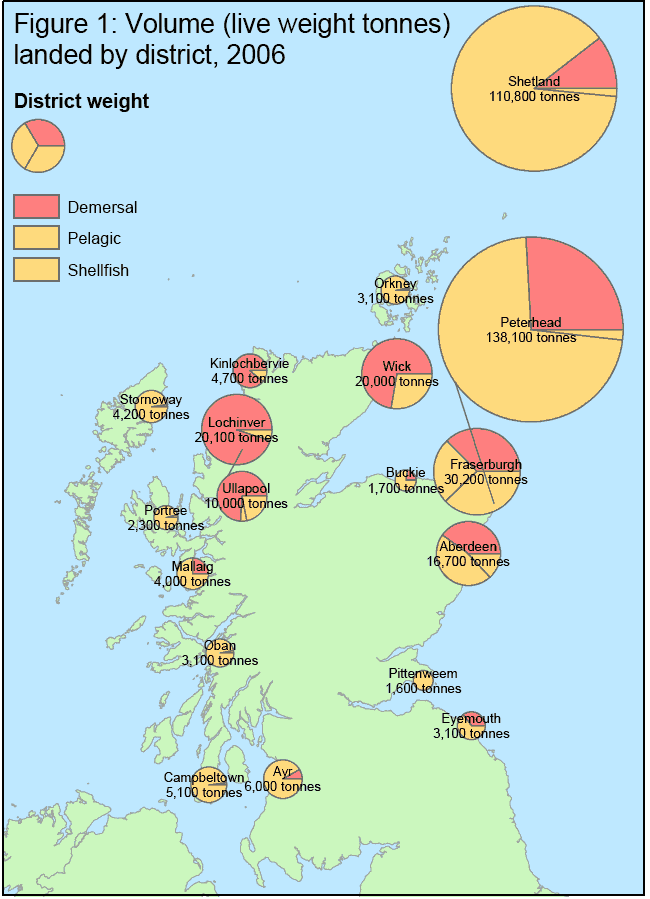 Figure 1:Volume (live weight tonnes) landed by district, 2006