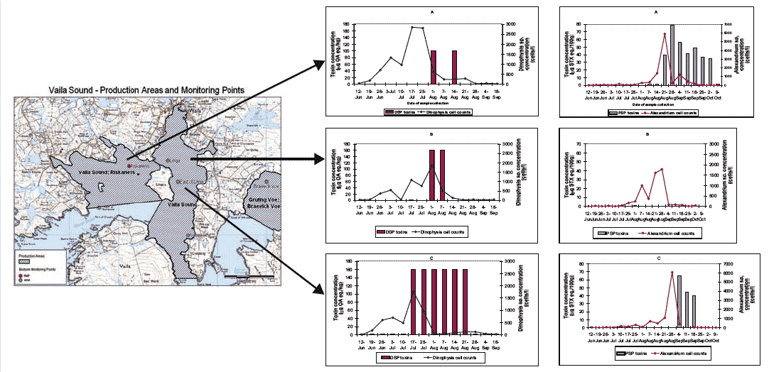 Figure 5.7 Evolution of DSP and PSP toxin events at Vaila Sound: Riskaness (A), Linga (B), and East of Linga (C) from June-September 2006