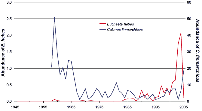 Figure 4.8 Abundances of Euchaeta hebes (warm water) and Calanus finmarchicus (cold water) in CPR 'A' route samples from 1946 to 2005 (mean annual abundance per sample)