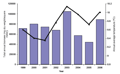 Figure 4.14 The annual totals of estimated biomass (dry weight) found in the 200 µm-mesh samples