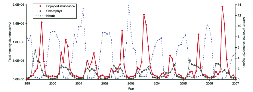Figure 4.15 Time series of three important elements in the ecosystem productivity, nitrate, chlorophyll (phytoplankton) and copepod abundance