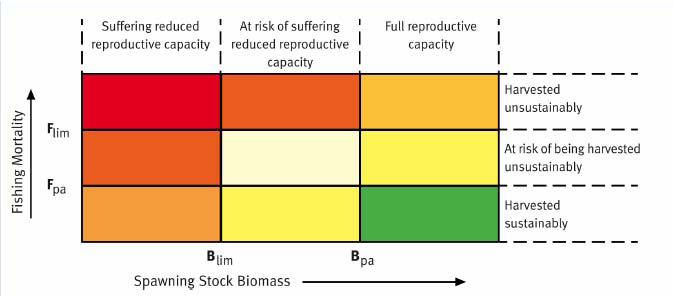 Figure 4.31 Definition of terms used in the traffic-light method of assessing the health of commercially exploited fish stocks