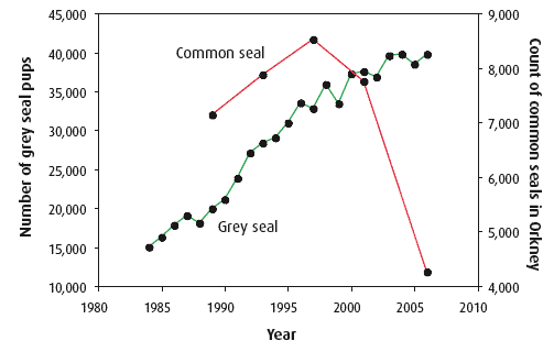 Figure 4.35 Changes in grey seal pup population in Scotland (green) and the number of common seals counted in Orkney (red)