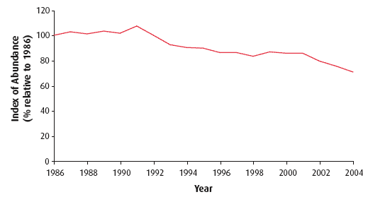 Figure 4.39 Abundance of breeding seabirds in Scotland (1986-2004)