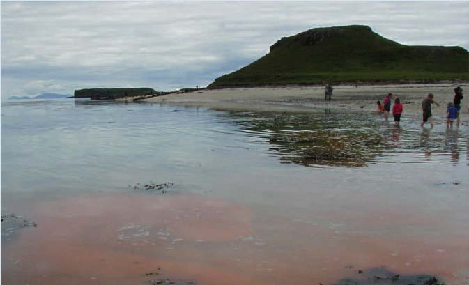 Figure 3.17 Red tide on a beach in Skye