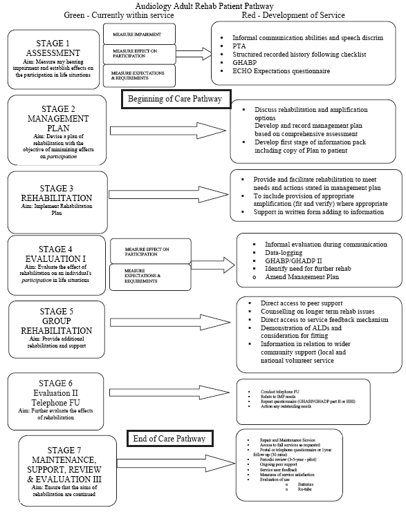 An Example of How the Individual Management Plan Fits within an Audiology Adult Rehabilitation Patient Pathway