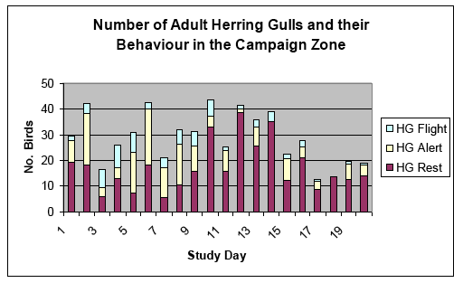Daily Mean Numbers and Behaviour Classifications of Each Gull Species Within Each Sample of the Campaign and Control Zones.