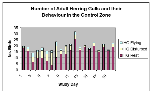 Daily Mean Numbers and Behaviour Classifications of Each Gull Species Within Each Sample of the Campaign and Control Zones.