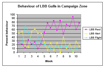 Figure 3a - Comparative behaviour of Lesser Black-backed Gulls within the Campaign Zone.