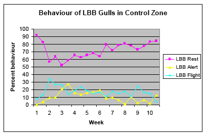 Figure 3b - Comparative behaviour of Lesser Black-backed Gulls within the Control Zone