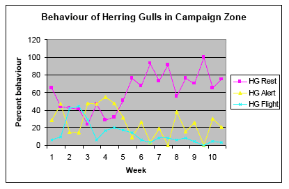 Figure 4a - Comparative Behaviour of Herring Gulls Within the Campaign Zone.