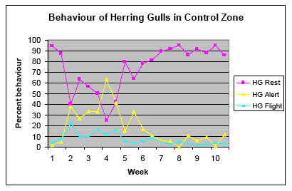 Figure 4b - Comparative Behaviour of Herring Gulls Within the Control Zone