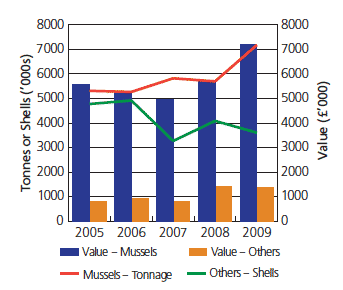 Mussel and other shellfish - production and turnover (2005-2009)