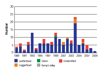 Total number of marine turtles recorded 1989-2009 in Scottish Waters