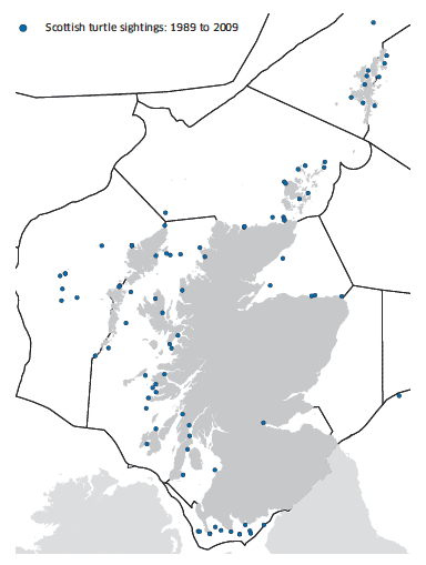 Map of the distribution of marine turtle species strandings and sightings in Scottish waters