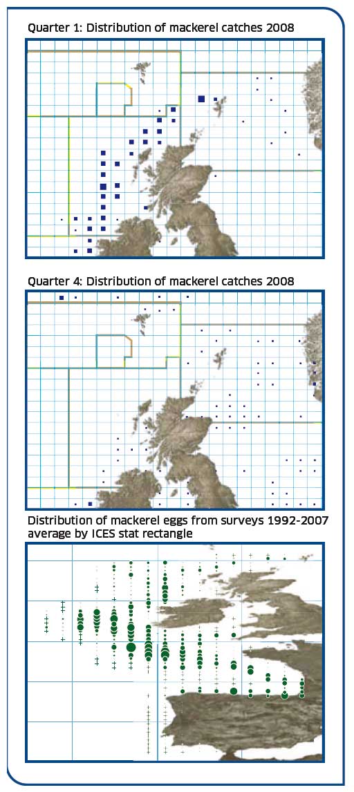 Mackerel stock - distribution of catches and egg production