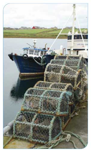 Creels on quayside at Stromness, Orkney