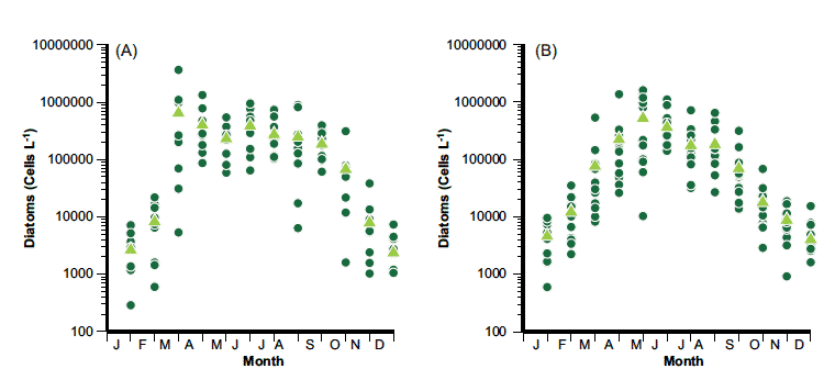 Seasonality of diatoms on (A) west coast (CP2 region 6) and (B) east coast (CP2 region 1). The green dots represent the monthly average of diatoms observed and the green triangles represent the overall monthly average since 2000.