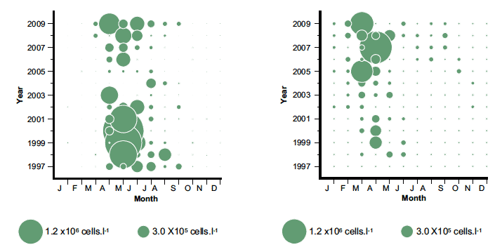 An example of the change in the monthly averages of (A) Chaetoceros and (B) Skeletonema cells since 1997 from the monitoring site on the east coast (CP2 region 1). The size of bubble is related to number of cells observed.