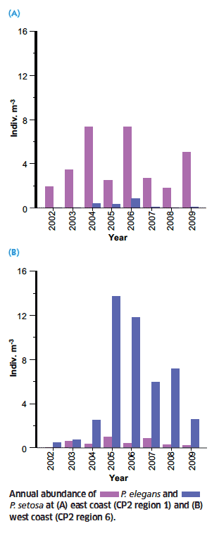 Annual abundance of P. elegans and P. setosa at (A) east coast (CP2 region 1) and (B) west coast (CP2 region 6).