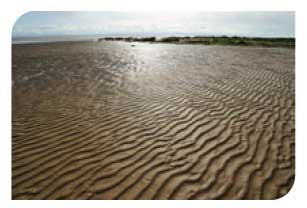Sandflats - Solway Firth