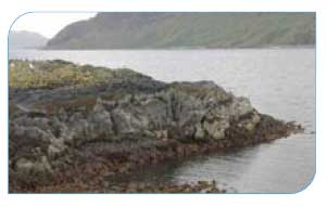 Semi-exposed rocky shore