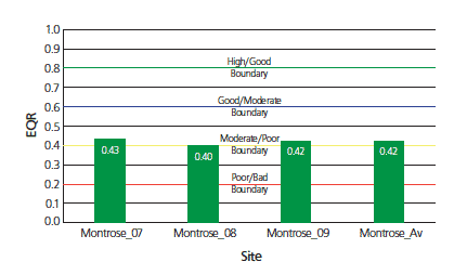 Ecological Quality Ratio (EQR) for macroalgae in Montrose Basin 2007-2009