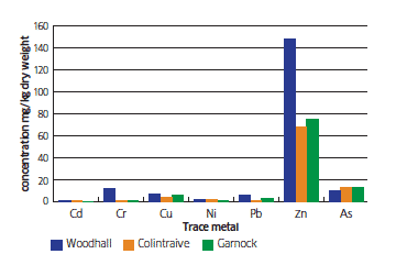 The concentration (mg/kg) of cadmium, chromium, copper, nickel, lead, zinc and arsenic in mussels at Woodhall, Colintraive and Garnock