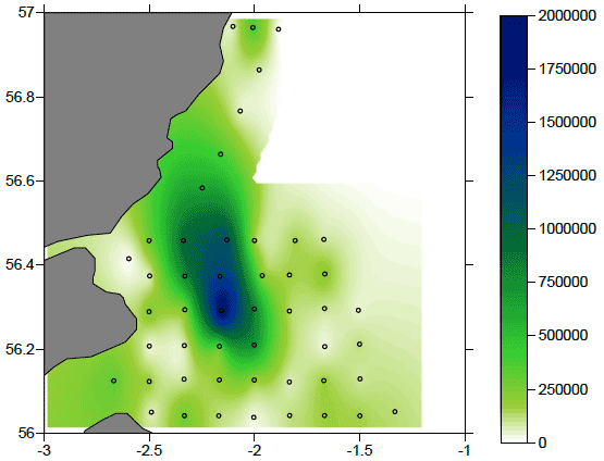 Figure 4: Map of the distribution of E. nordmanni abundance in the study area in number of organisms m-2. Note a different scale to that of subsequent Figures.