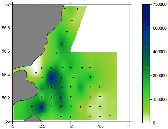 Figure 5: Map of the distribution of A. clausii stages CV-CVI abundance in the study area in number of organisms m-2.