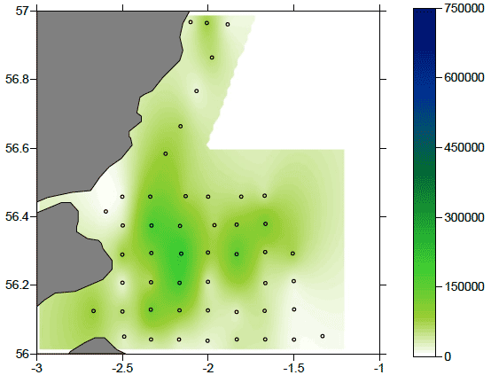 Figure 6: Map of the distribution of A. clausii stages CIII-CIV abundance in the study area in number of organisms m-2.