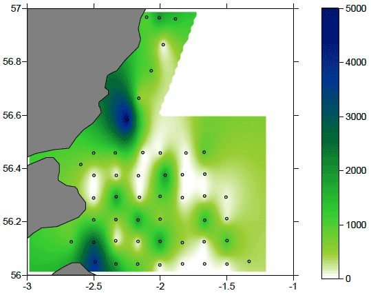 Figure 12: Map of the distribution of Cyprid abundance in the study area in number of organisms m-2. Note the different scale.
