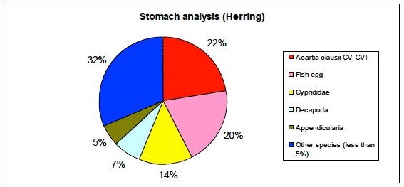 Figure 21: Relative abundance of the main prey items found in the stomachs of herring in the study area.