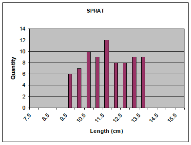 Figure 22: Length frequency of sprat used in stomach contents analysis (n=78).