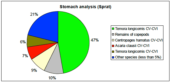 Figure 23: Relative abundance of the main prey items found in the stomachs of sprat in the study area.
