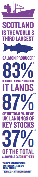 Infographic showing Scotlands fishing industry