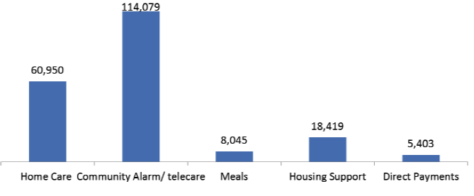 Figure 5: Social Care Client by type of services, all ages