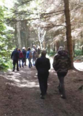 Branching out walking group, NHS Tayside