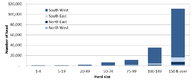 Chart 5.6: Dairy cows by region and herd-size group, June 2014
