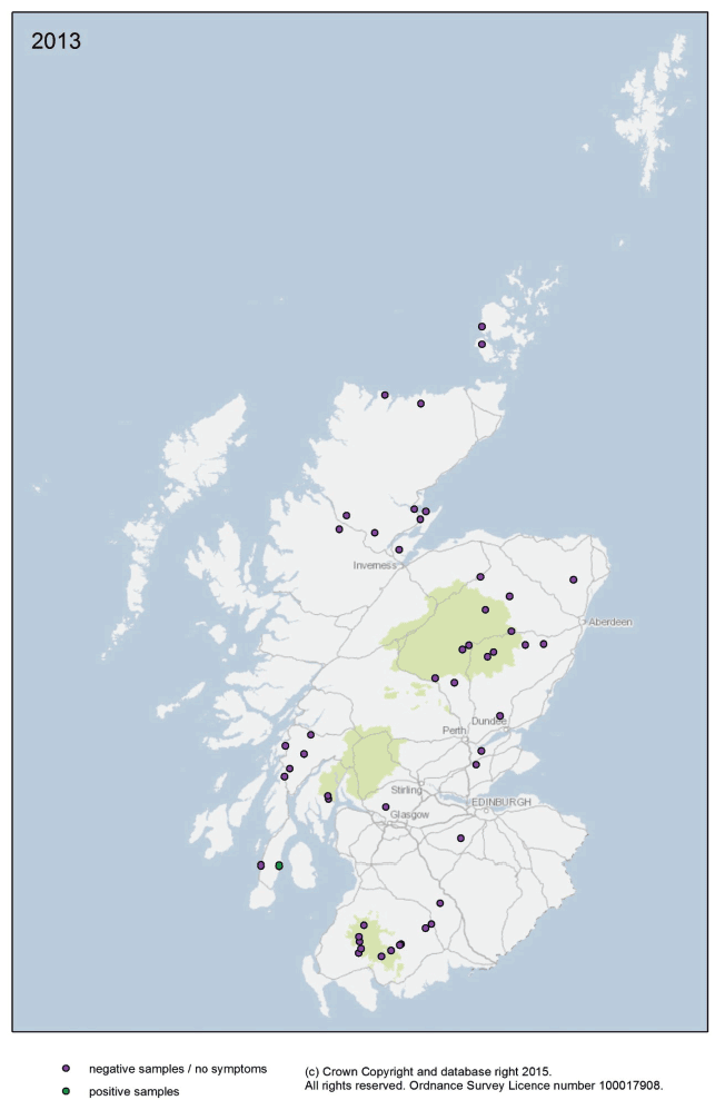 SEARS survey for Phytophthora in heathland/wider environment locations by year 2013